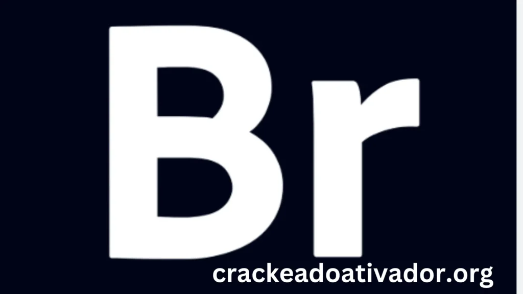 Adobe Bridge Crackeado