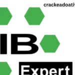 IBExpert