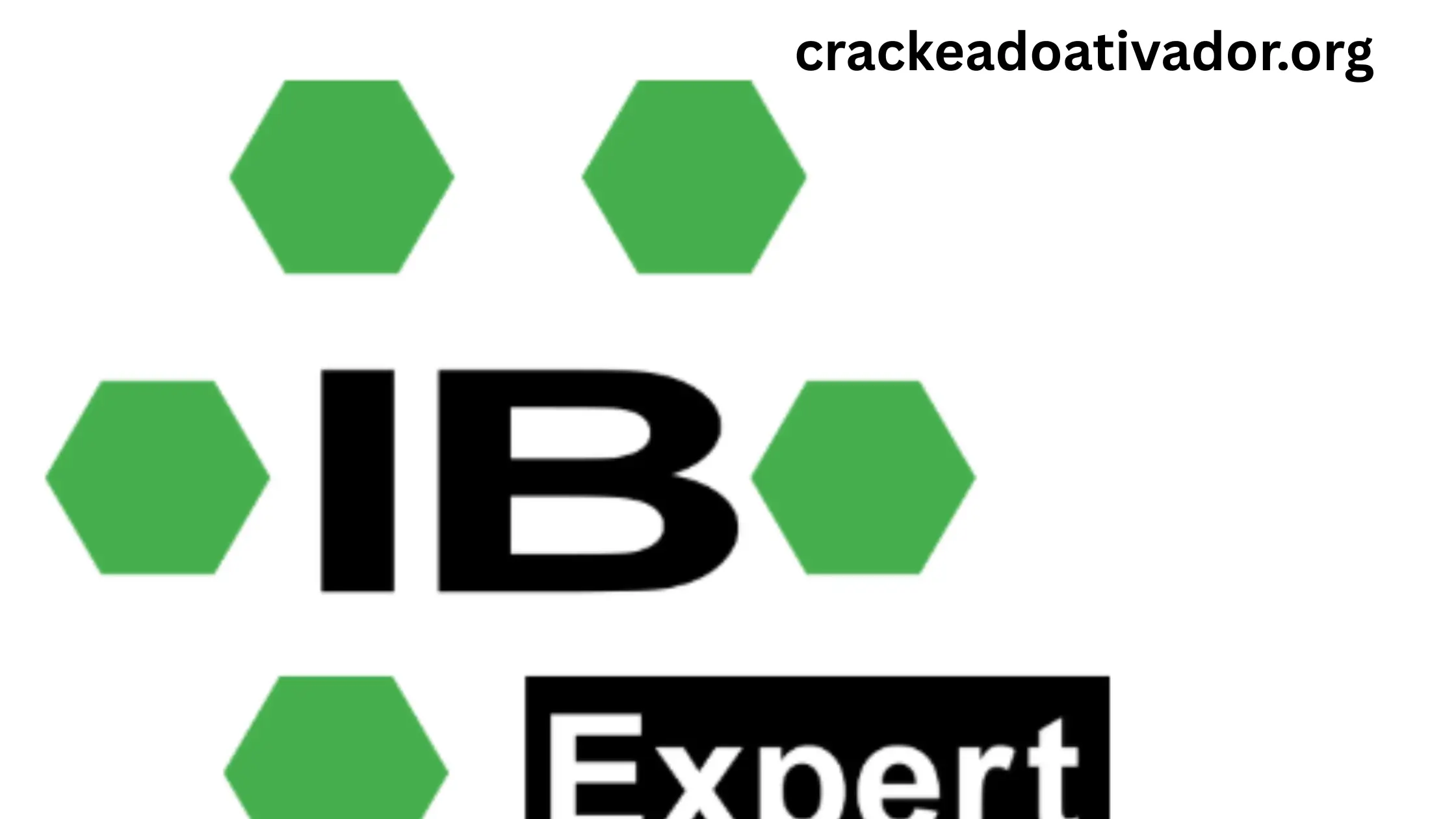 IBExpert