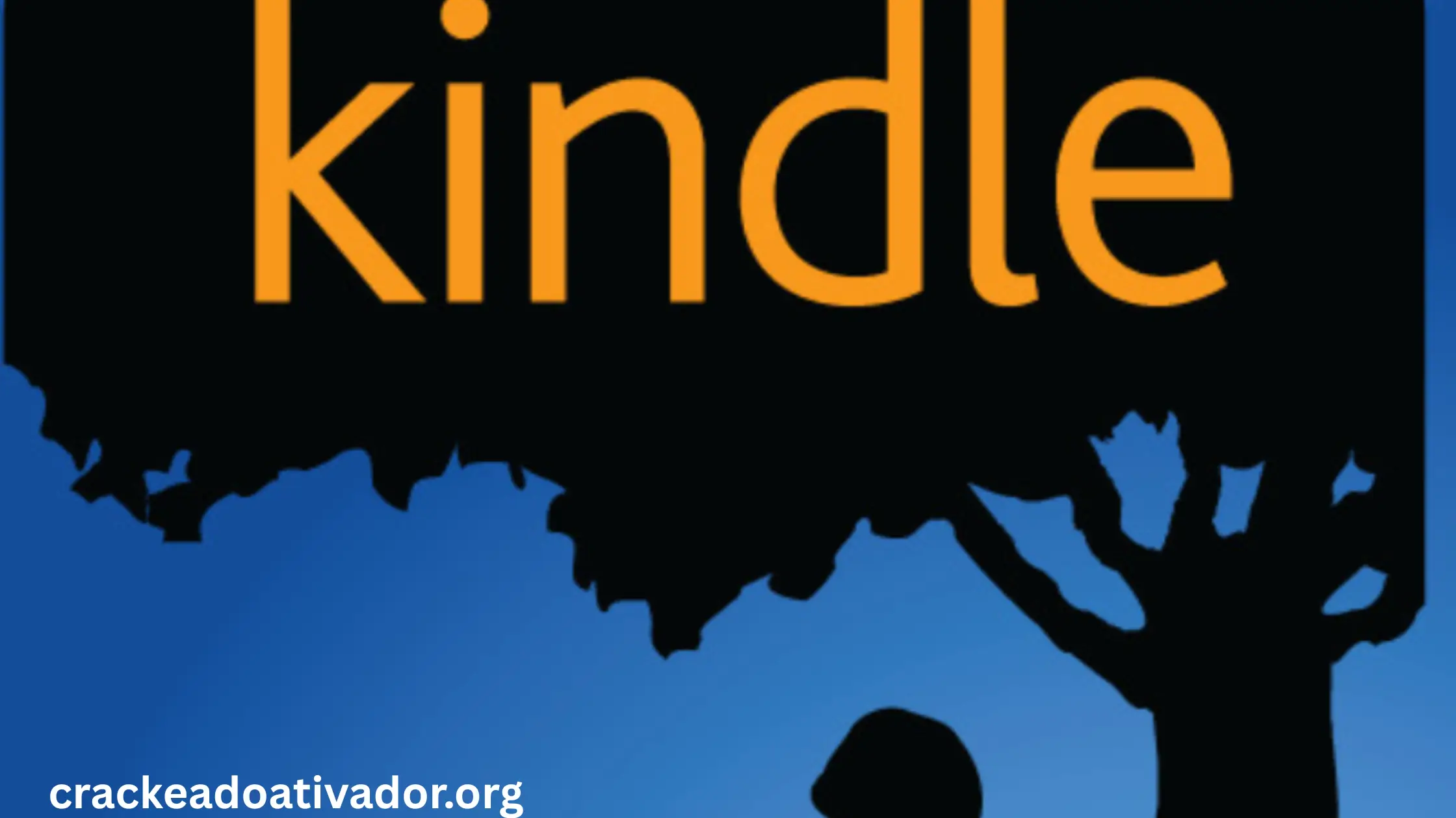 Kindle DRM Removal