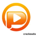 Pazu Netflix Video Downloader