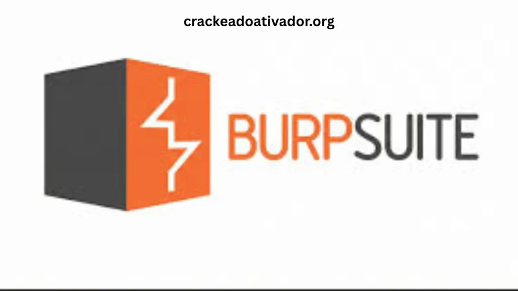 Burp Suite Professional